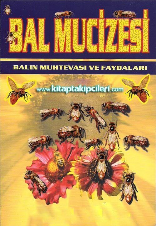 Bal Mucizesi Balın Muhtevası ve Faydaları