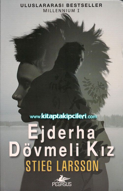Ejderha Dövmeli Kız Mıllennıum 1, Stieg Larsson