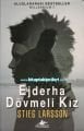 Ejderha Dövmeli Kız Mıllennıum 1, Stieg Larsson