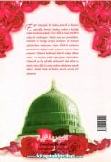 Sakal ve Sünnetin Önemi, İmam Şeyh Zekeriyya Kandehlevi, Nedim Payalan