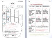 Kolay Arapça Öğrenim Seti, Ümmü Taş Ergun, Emsile, Bina, Maksud, Avamil, İrab, Kitap, Şablon, Tablolar, Şemalar Toplam 15 Parça
