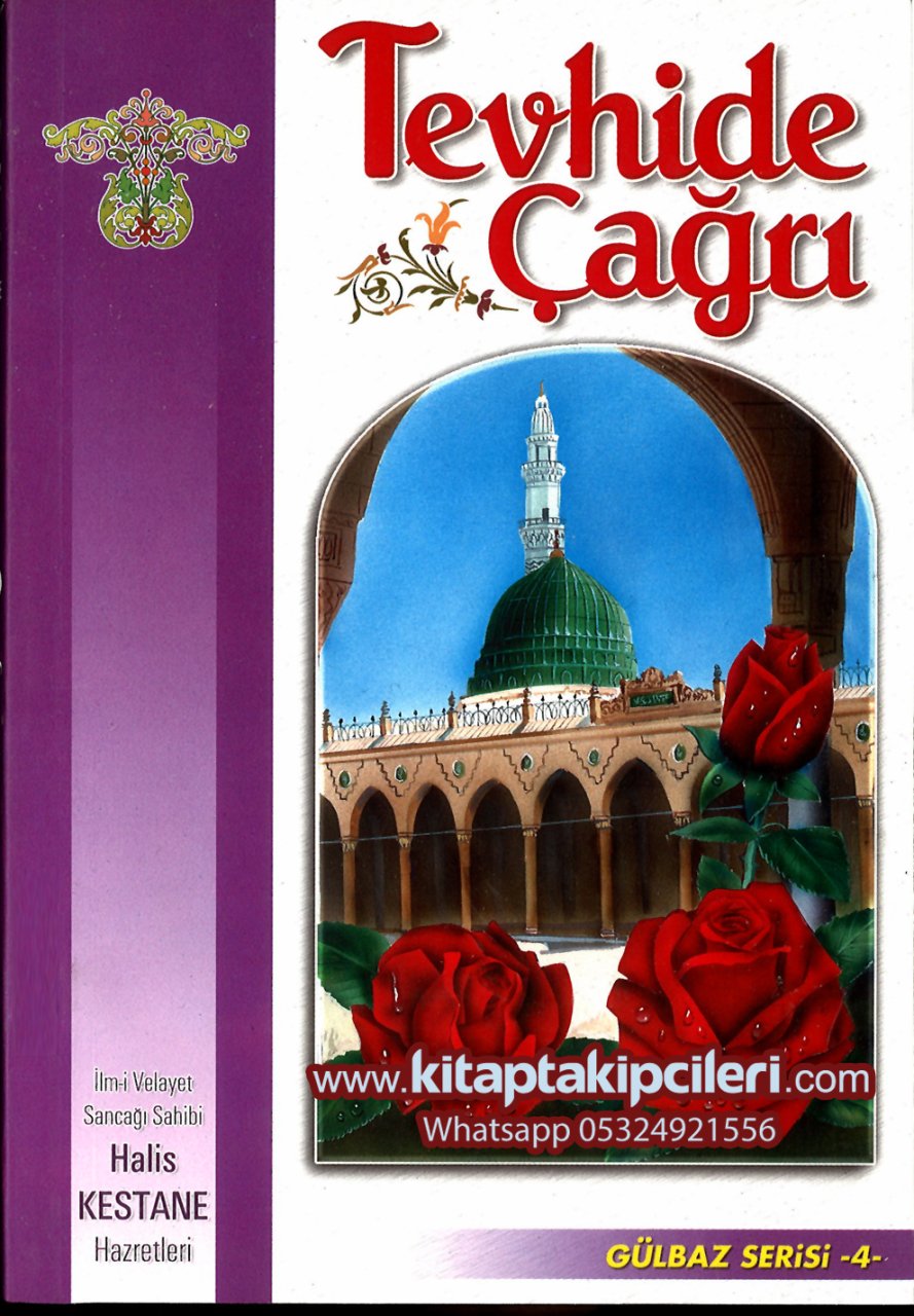 Tevhide Çağrı, Halis Kestane