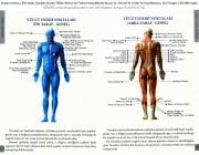 Şeytan Haritası, İlmi Sayik, İçindeki Şeytanı Öldür, Ruhsal ve Fiziksel Hastalıklarda Kuran Ve  Sünnet İle Tevbe Ve Dua Mucizesi, Erol Tangut, Ciltli 900 Sayfa