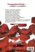 Peygamberimizin Sevdikleri Sevmedikleri, Prof. Dr. Tacettin Uzun