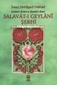 Salavatı Geylani Şerhi, Delaili Kadiriyye, Şeyh Abdulkadir Geylani, İmam Abdulgani Nablusi