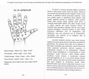 El Çizgilerini Okuma Sanatı, Her El Bir Hikaye Anlatır, Mehmet İlhan 550 Sayfa
