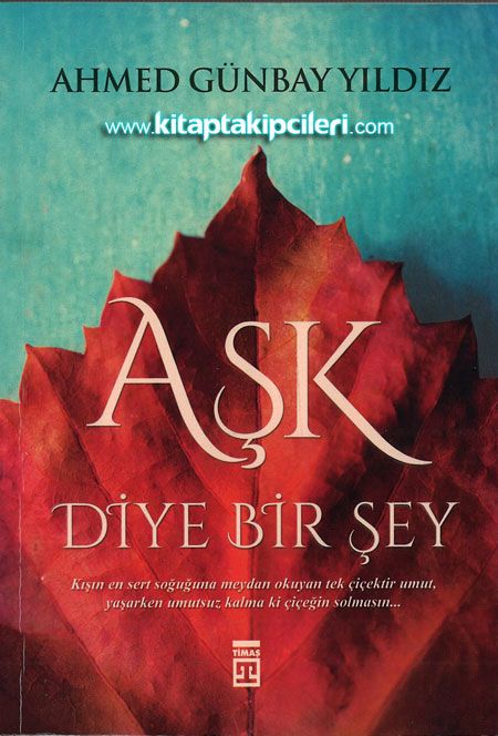 Aşk Diye Bir Şey, Ahmed Günbay Yıldız