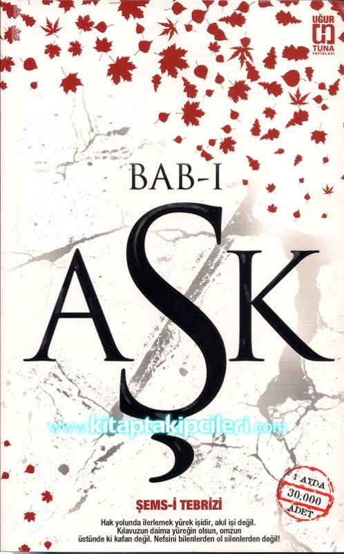 Babı Aşk, Şemsi Tebrizi