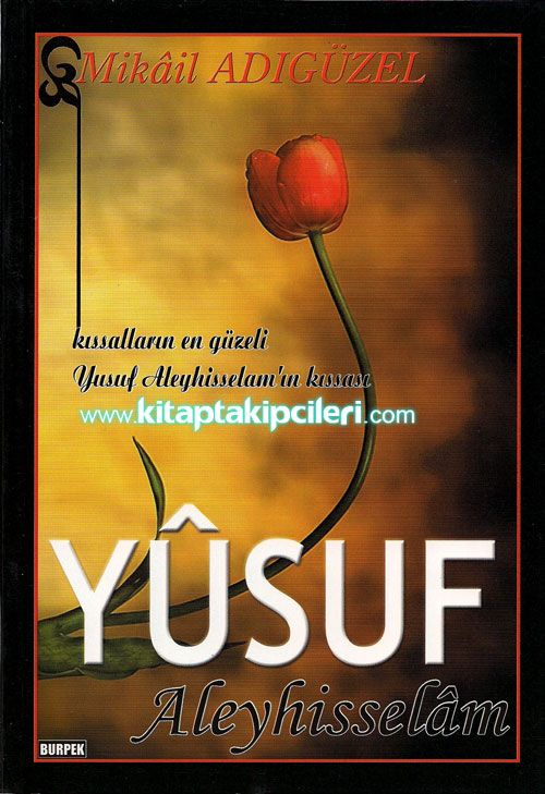 Yusuf Aleyhisselam, Mikail Adıgüzel
