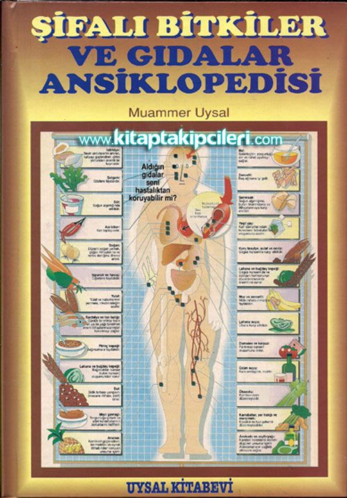 Şifalı Bitkiler Ve Gıdalar Ansiklopedisi Şifalı Sular, Kaplıcalar, Mağaralar