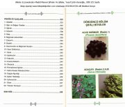 Allahın Eczanesinden Maddi Manevi Şifreler Ve Şifalar, Yusuf Çetin Karaoğlu, 325 Sayfa