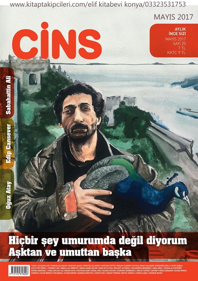 Cins Dergisi MAYIS 2017, Aylık İnce Sızı