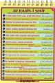 Her Aya 40 Hadisi Şerif Toplam 480 Hadis Kartela