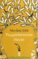 Peygamberimizin Hayatı, Mevlana Şibli