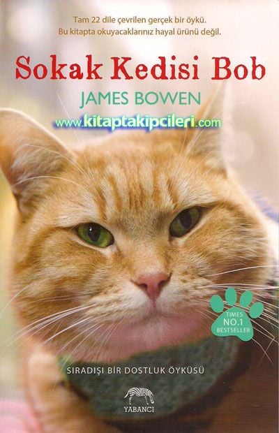 Sokak Kedisi Bob, James Bowen, Sıradışı Bir Dostluk Öyküsü KİTAP 2. ELDİR